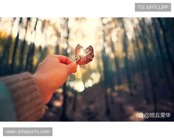落地支撑手是否构成犯规？细解规则边界与判罚逻辑
